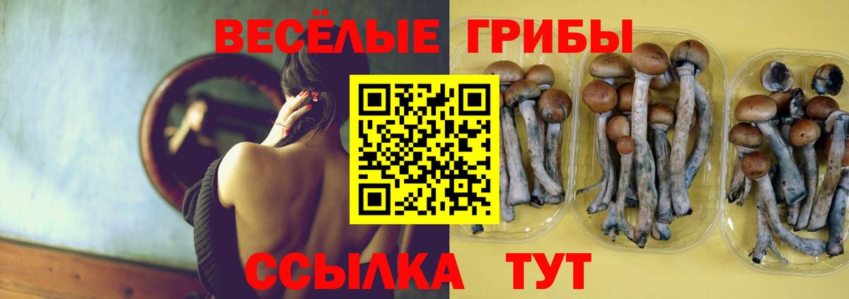 Острогожск  Псилоцибиновые грибы прущие грибы  Вход с VPN  Псилоцибиновые грибы Psilocybine cubensis 